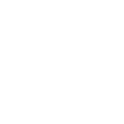 4 Brother Foundation Logo